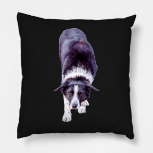 Border Collie Playing Fetch Sticker Pillow