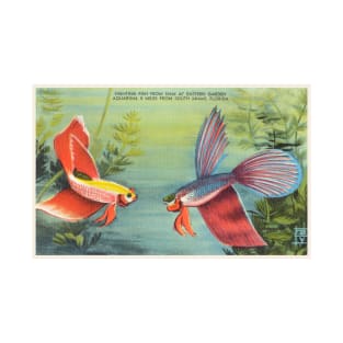 Fighting fish, Florida postcard T-Shirt