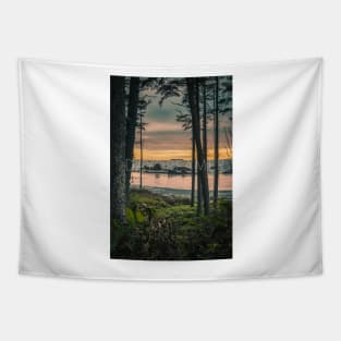 Daydreamer; Pacific Northwest Beach at Sunset Tapestry