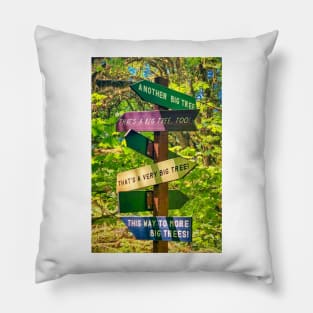 Big Trees Everywhere Land of the Giants Pillow