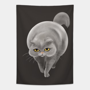 Big grey cat Tapestry
