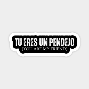 Tu Eres Un Pendejo You Are My Friend Magnet