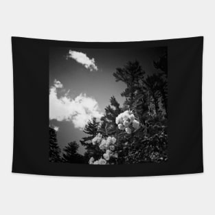 lomo gardens black and white Tapestry