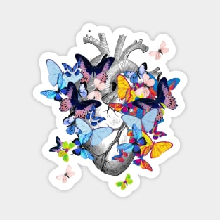 Heart Human Anatomy colorful butterflies Magnet