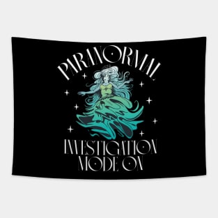 Paranormal Investigation Mode On - Haunted Location Tapestry