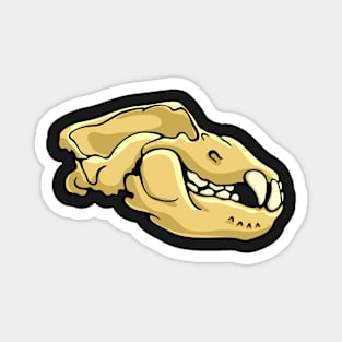 Ursus Spelaeus, Cave Bear Skull Illustration Magnet