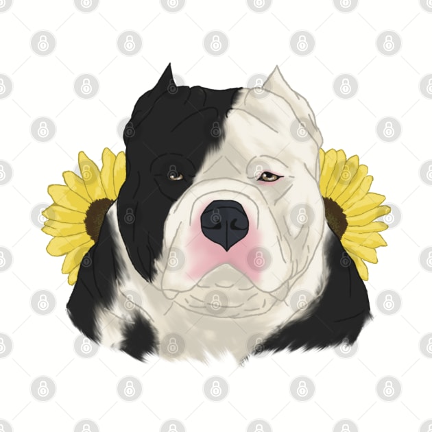 Black Pied American Bully with Sunflowers by TrapperWeasel