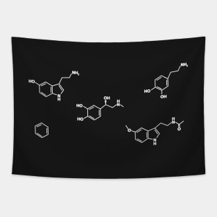 Organic Chemistry Molecule Pack Tapestry