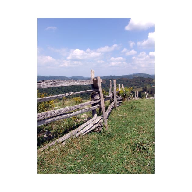 Fence Line- West Virginia by searchlight