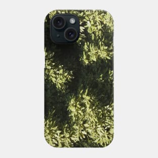 Green Leaves Tree Canopy High Above Phone Case