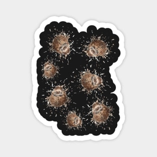 Fuzzy Hedgehog print Magnet