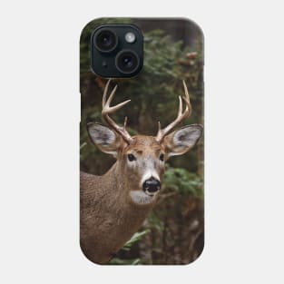 White-tailed deer Phone Case