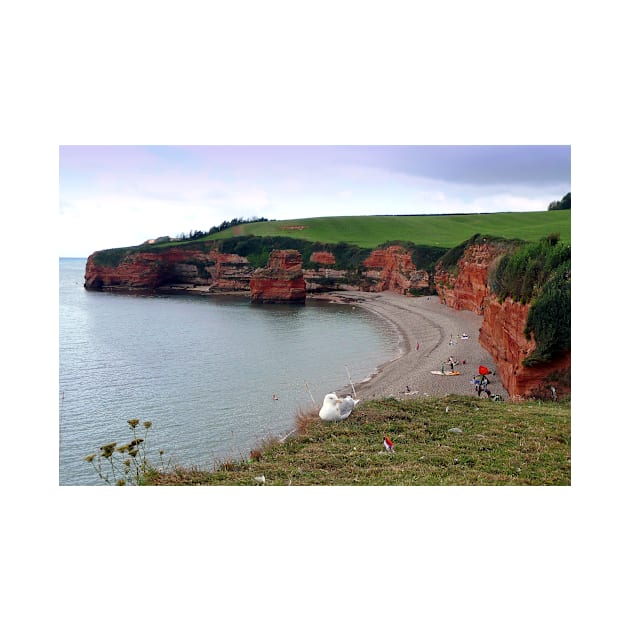 Ladram Bay Jurassic Coast Devon England by AndyEvansPhotos