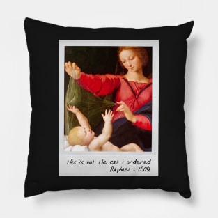 raphael - cat meme Pillow