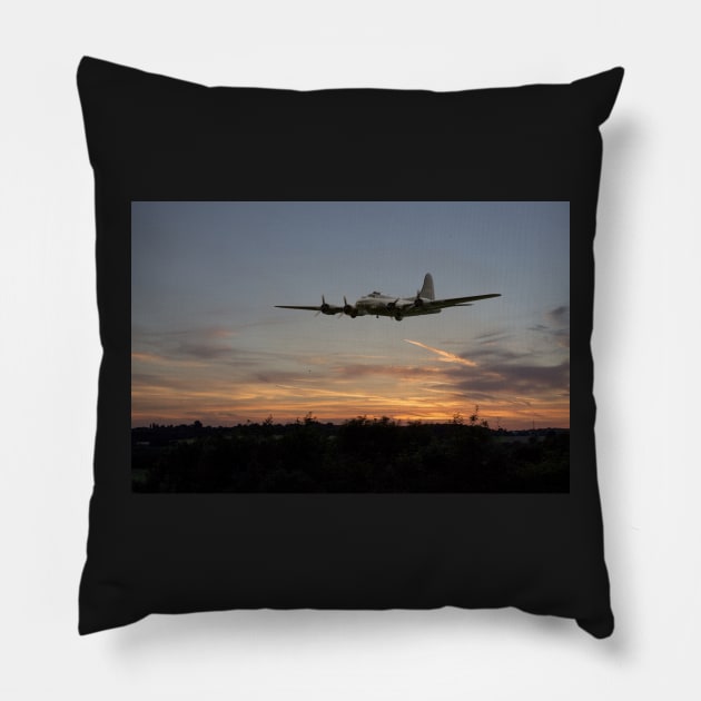 Sally Sunset Pillow by aviationart