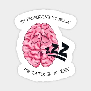 Preserving My Brain Magnet