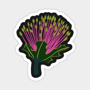 banksia flower Magnet