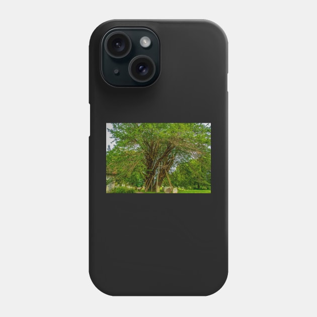 Ancient Yew Tree, Wilington Churchyard, East Sussex Phone Case by mbangert