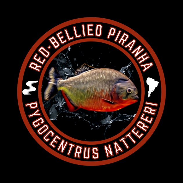 Red-Bellied Piranha Pygocentrus Nattereri by Mojave Trading Post