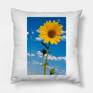 Sunflower Sky Pillow