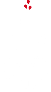 Five beer for the sawmill please - woodworker Magnet