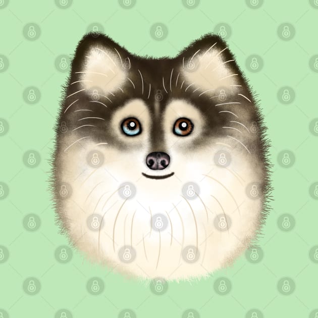 Sable Pomsky by illucalliart