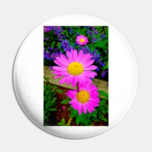 Florescent Daisies Pin