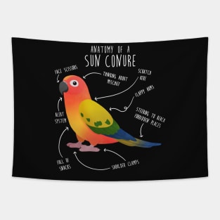 Sun Conure Parrot Anatomy Tapestry