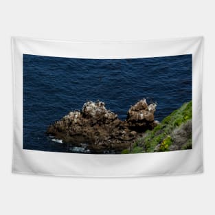 Channel Islands National Park Santa Cruz Island Tapestry