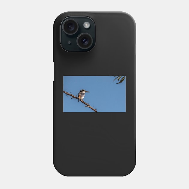 Reb-backed Kingfisher Phone Case by Bevlyn