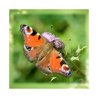 Peacock Butterfly T-Shirt