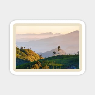 Dawn at tea plantation near Lipton's Seat, Haputale, Sri Lanka Magnet