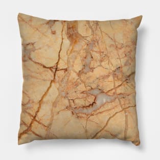 Antique Marble Pattern Texture Design Pillow