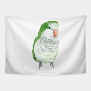 Conure veuve perruche moine souris quaker aquarelle Tapestry