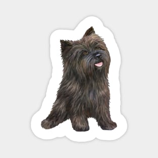 Brindle Cairn Terrier - Just the Dog Magnet