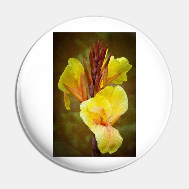 Yellow Lilies - Canna Lilies Pin by JimDeFazioPhotography