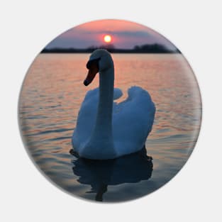 Sunset Swan Pin