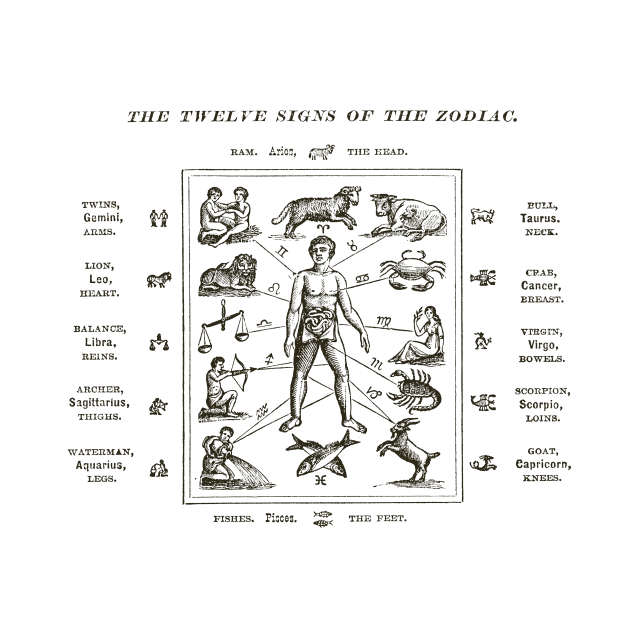 1890 The Twelve Signs of the Zodiac by historicimage