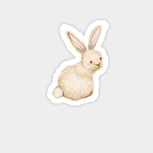 Cute Bunny Magnet