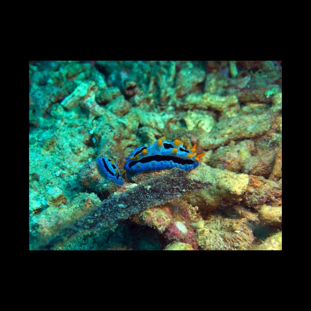 Purple Nudibranch by likbatonboot