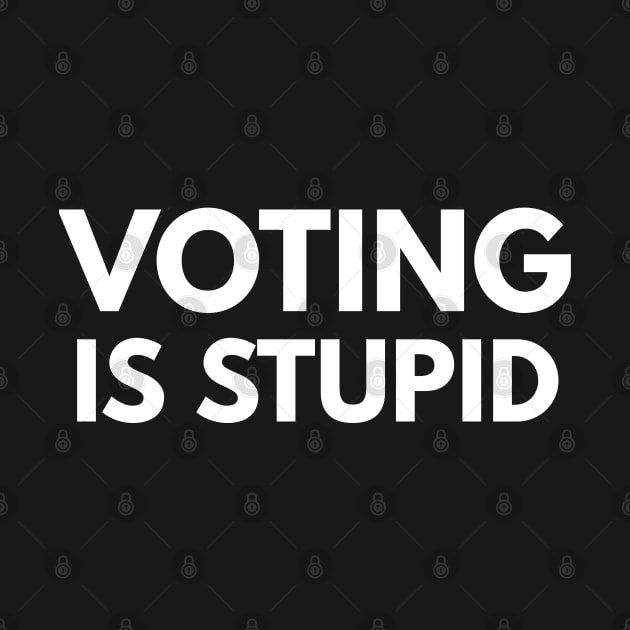 VOTING IS STUPID by FromBerlinGift