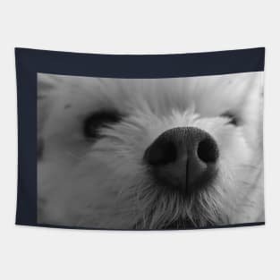 maltese, chiuahuah, white dog, puppy Tapestry