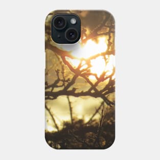 Sunlight Through Branches Phone Case