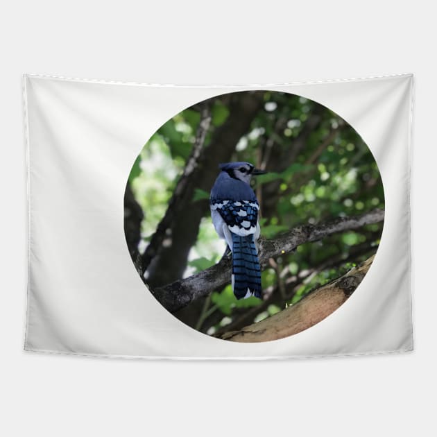 Blue Jay Tapestry by BirdKeeperNick