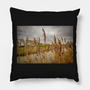 River side reeds in the Norfolk Broads National Park Pillow