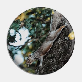 Swole Eastern Gray Squirrel Pin