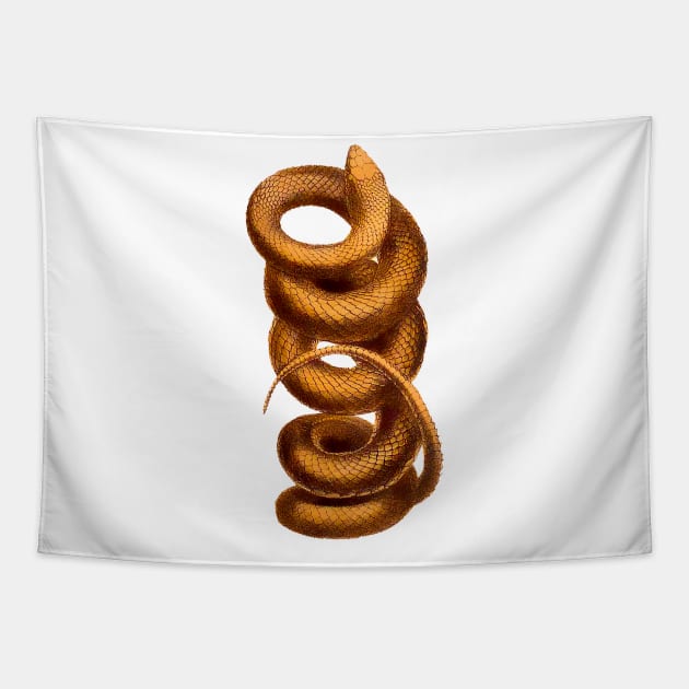 Coiled snake Tapestry by Marccelus