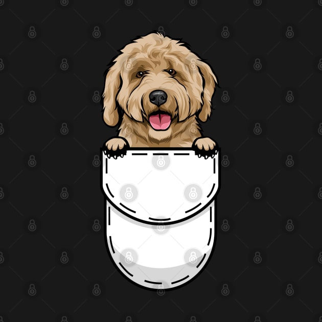 Funny Labradoodle Pocket Dog by Pet My Dog