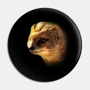 Yellow mongoose Pin