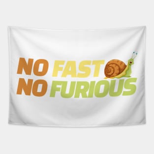 NO FAST NO FURIOUS Tapestry